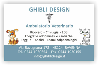 Ghibli Design - Biglietto personalizzabile,  #1527 - fronte - 3340, 1527, ambulatorio, animali, azzurro, cane, cuccioli, disegni, disegno, gatto, orario, studio, veterinario