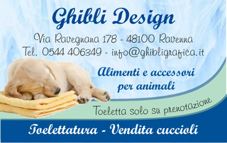 Ghibli Design - Biglietto personalizzabile,  #224 - fronte - cucciolo, cane, cagnolino, toeletta, toelettatura, vendita cuccioli, animali, labrador, addormentato, relax, dolcezza, azzurro